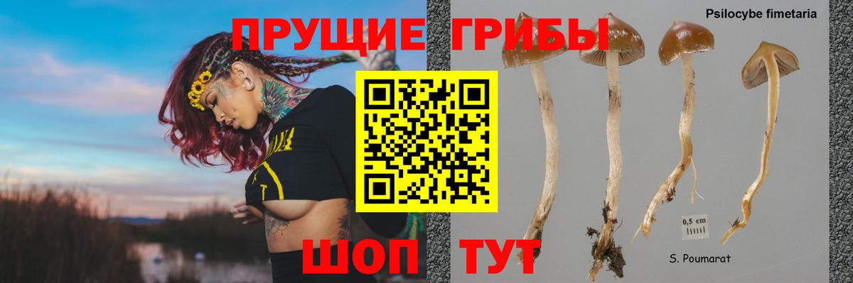 Псилоцибиновые грибы мухоморы  Вход с VPN  Галлюциногенные грибы Psilocybine cubensis  Михайловск 